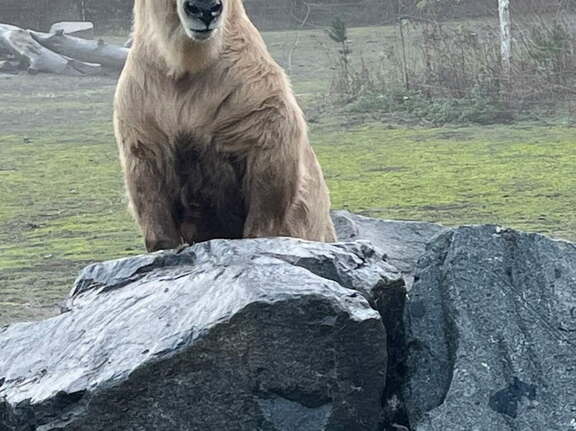 24-12-06 15-01-38 1653